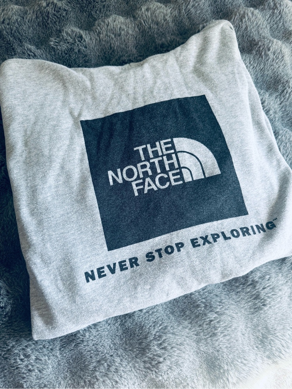 The North Face Men’s XL Gray Pullover Hoodie Never Stop Exploring Fleece Hoodie